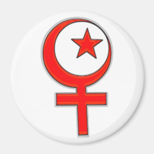Islamisk feminism… magnet