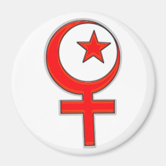 Islamisk feminism.. magnet