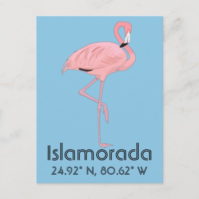 Islamorada FL Keys Flamingo Latitud Longitud Vykort (Framsida)