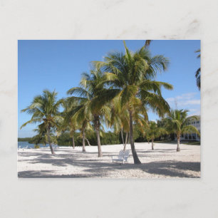 Islamorada Florida Beach Vykort