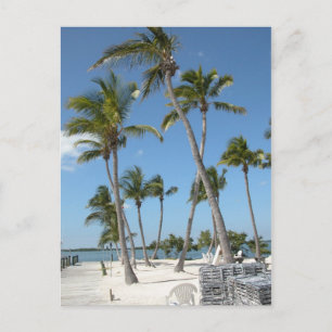 Islamorada Florida Beach Vykort