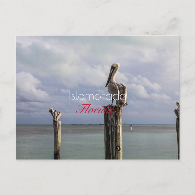 Islamorada, Florida Helgdag Postcard Helg Vykort (Framsida)