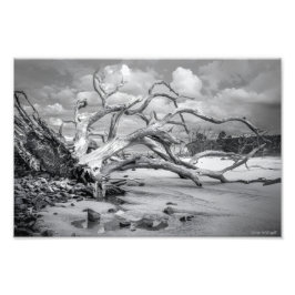 "Island Beach" Fototryck