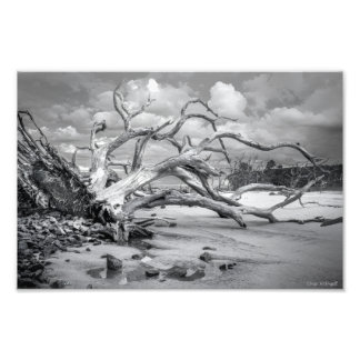 "Island Beach" Fototryck