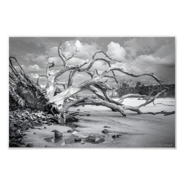 "Island Beach" Fototryck (Framsidan)