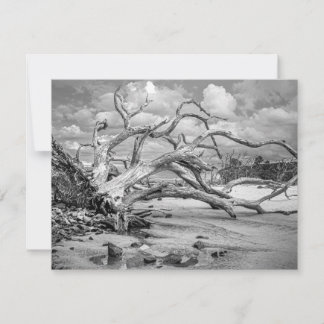 "Island Beach" Platt Notkort Anteckningskort