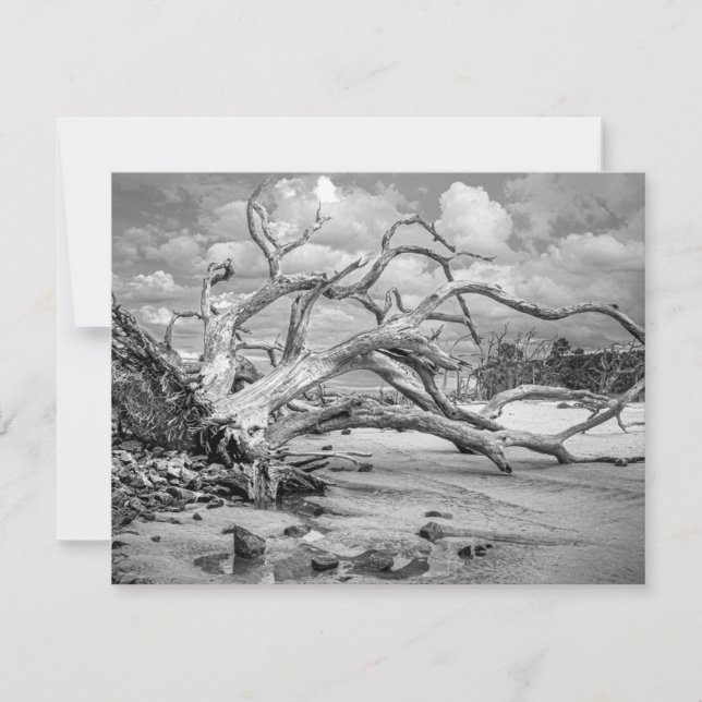"Island Beach" Platt Notkort Anteckningskort (Framsida)