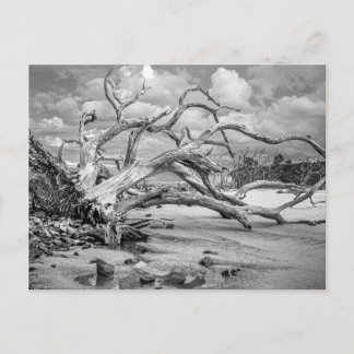 "Island Beach" Platt Notkort Vykort