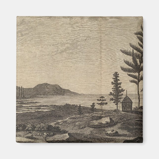 Island Gräs, Nya Kaledonien Magnet (Framsidan)