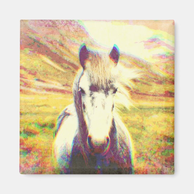 Island Horse Digital Art Magnet (Framsidan)
