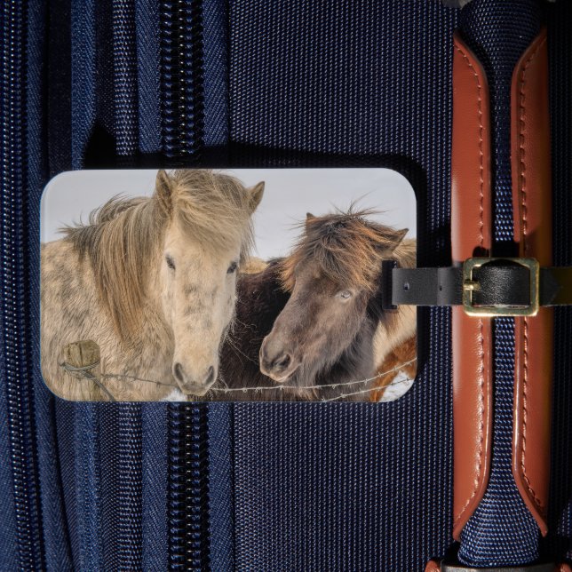 Island Horses Bagagebricka (Framsida Insitu 4)