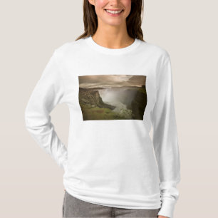 Island, Jokulsargljufur nationalpark. Tee