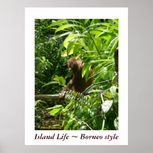 Island Life ~ Borneo stil Poster