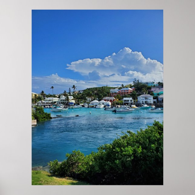 Island Life Poster (Framsidan)