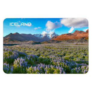 Island Magnet