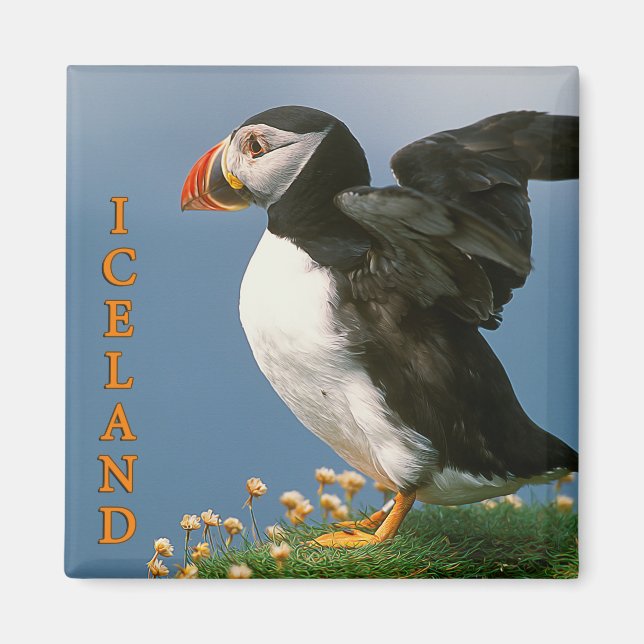 Island Magnet (Framsidan)