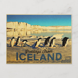 Island Penguins Vykort