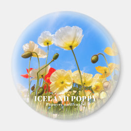 Island Poppy Magnet