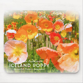 Island Poppy Musmatta