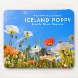 Island Poppy Musmatta