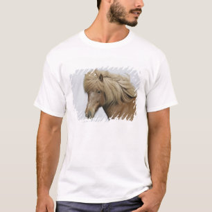 Island. Porträtt av en isländsk häst. Tee Shirt