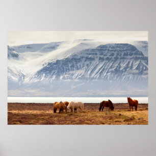 ISLAND POSTER