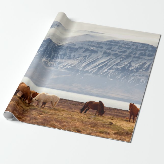 ISLAND PRESENTPAPPER (Utrullad)