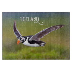 Island Puffin