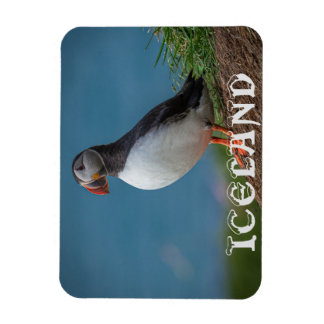 ISLAND PUFFIN MAGNET