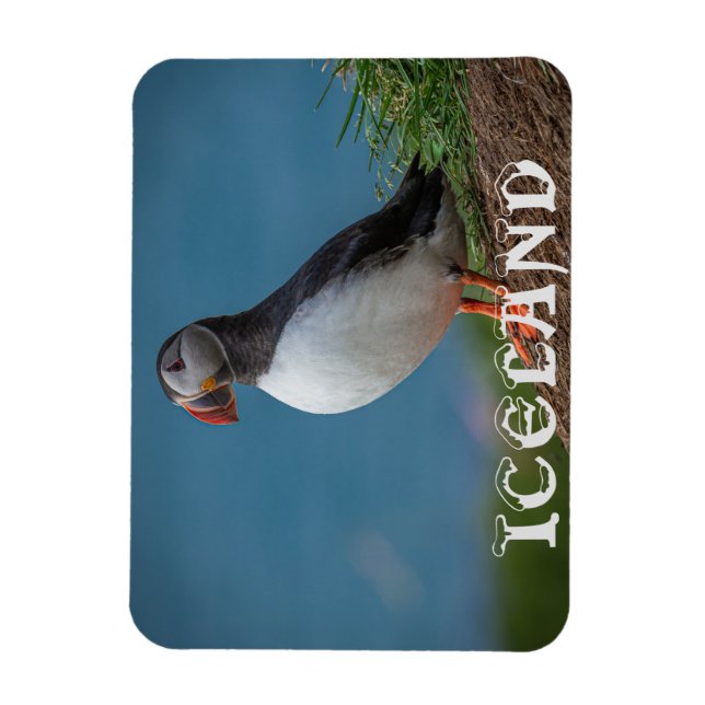 ISLAND PUFFIN MAGNET (Vertikal)