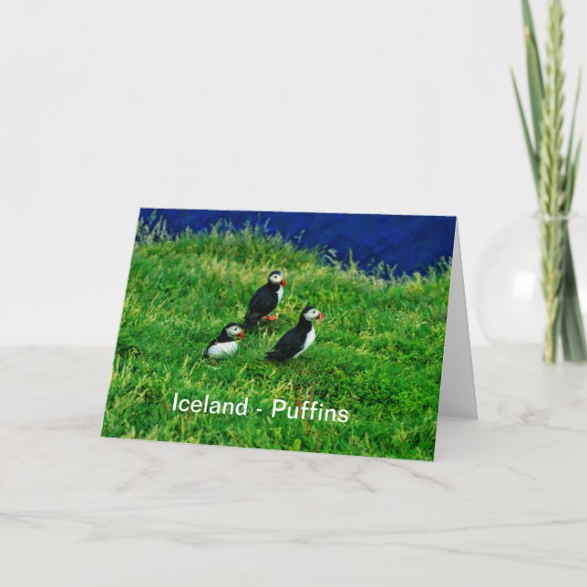 Island - Puffins Kort (Framsida)