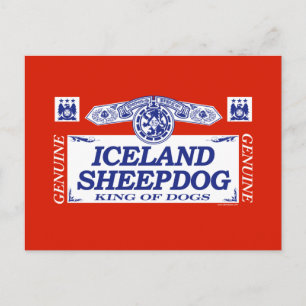 Island Sheepdog Vykort