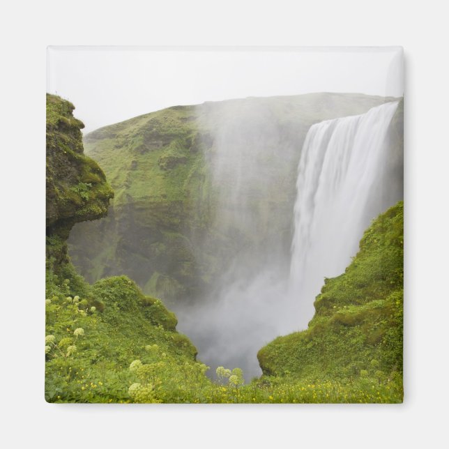Island. Skogarfoss vattenfall störtar över en Magnet (Framsidan)