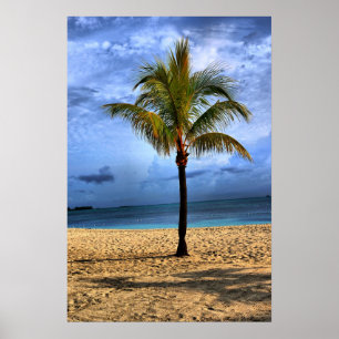 Island Träd Poster