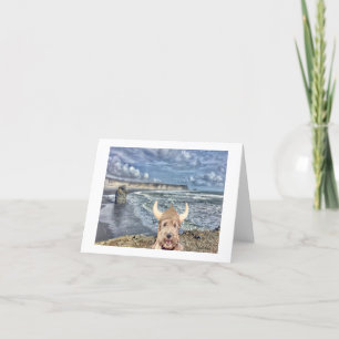 Islandet Ella Bella Banana, havsvyn Tack Kort