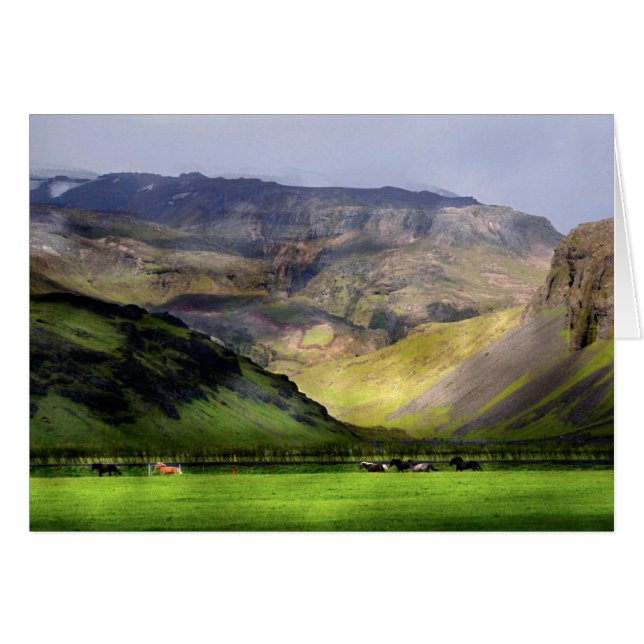 Islandet Running Horses Hälsningskort (Framsidan Horizontal)