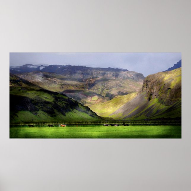 Islandet Running Horses Poster (Framsidan)