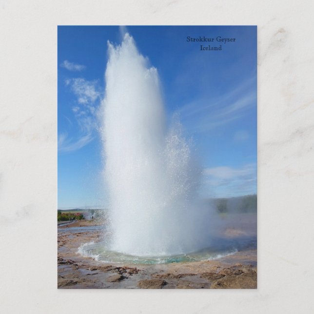Islandet Strokkur Geyser Helg Vykort (Framsida)