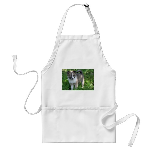 Islandhund Förkläde (Framsidan)