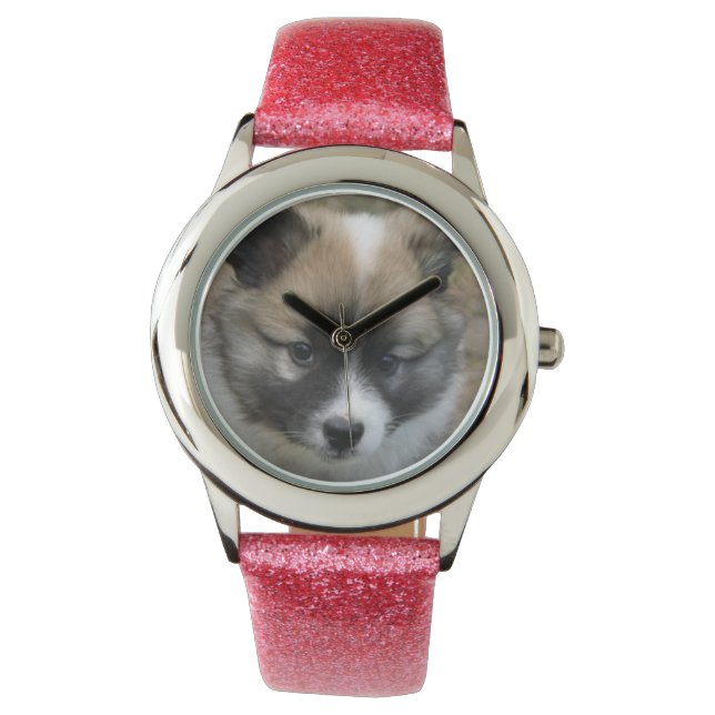 Islandhund - Icelandic Sheepdog Armbandsur (Framsida)