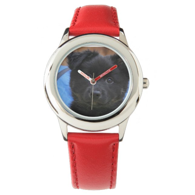 Islandhund - isländsk fårhund armbandsur (Framsida)