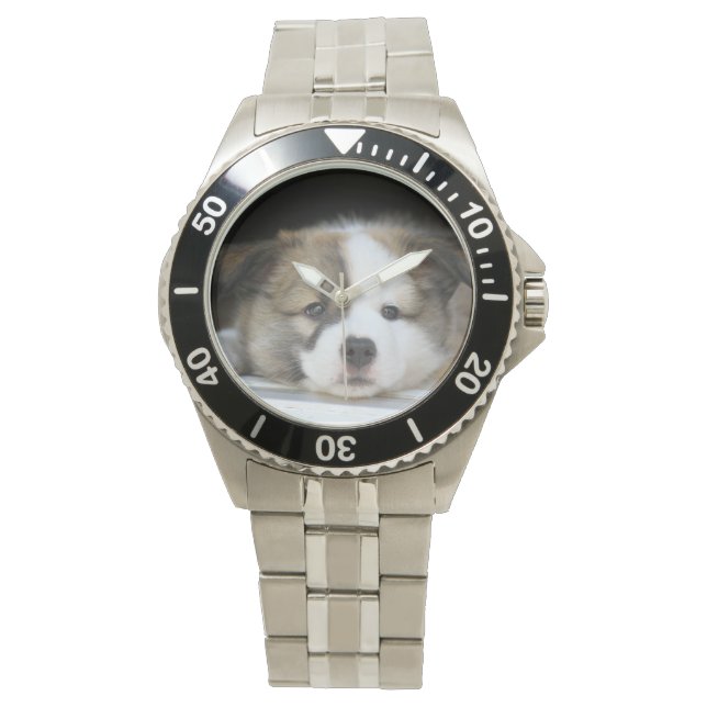 Islandhund - isländsk fårhund armbandsur (Framsida)