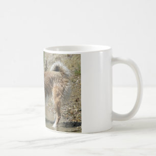 Islandhund Kaffemugg
