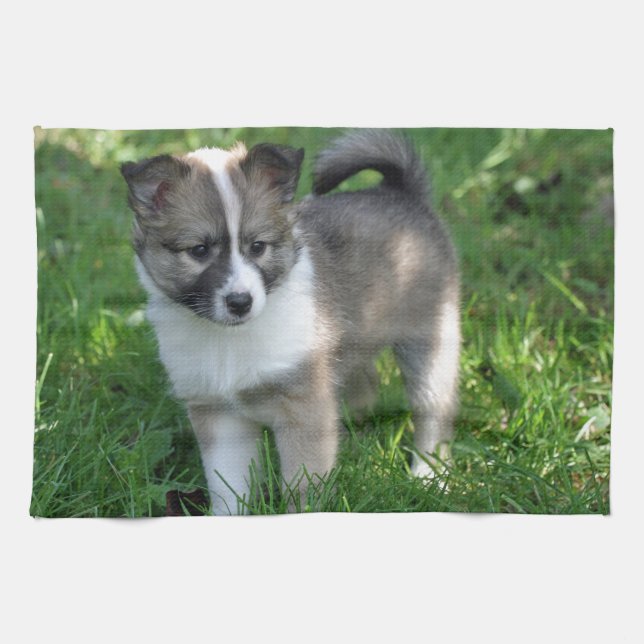 Islandhund Kökshandduk (Horisontell)