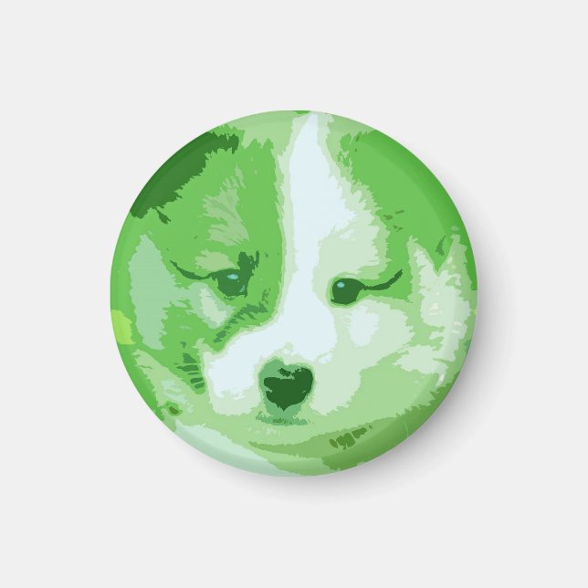 Islandhund Magnet (Framsidan)