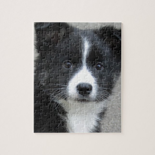 Islandhund Pussel (Vertikal)