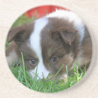 Islandhund Underlägg Sandsten