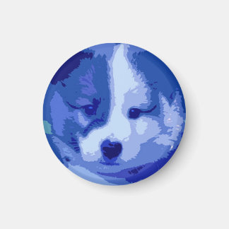 Islandhund Welpe als Collage in blau Magnet
