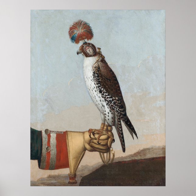 Islandic Gyrfalcon Poster (Framsidan)