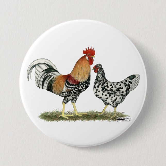 Islands Chickens Knapp (Framsida)